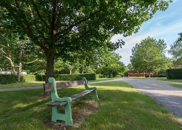 Mobil-home Cosy 2 Pers Avec Terrasse - Api-1-52-891 Camping *