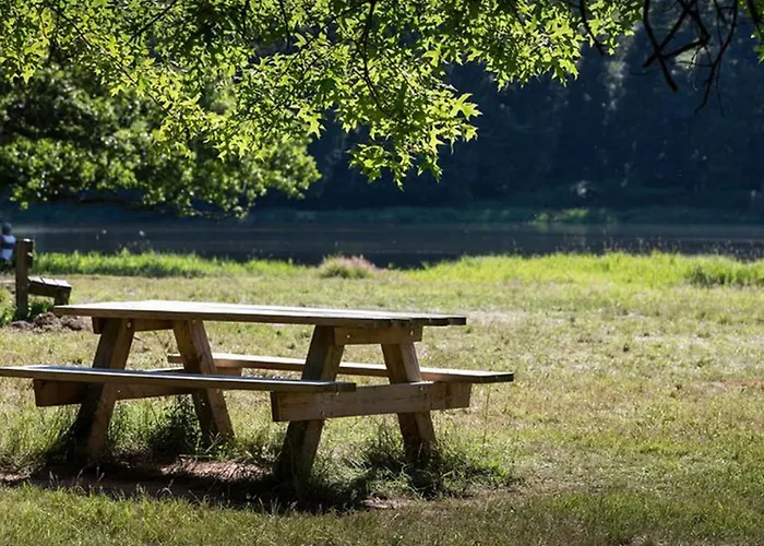 Mobil-home Cosy 2 Pers Avec Terrasse - Api-1-52-891 Isle-et-Bardais